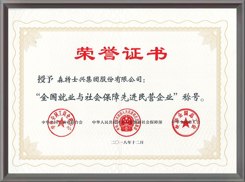 全国就业与社会保障先进民营企业