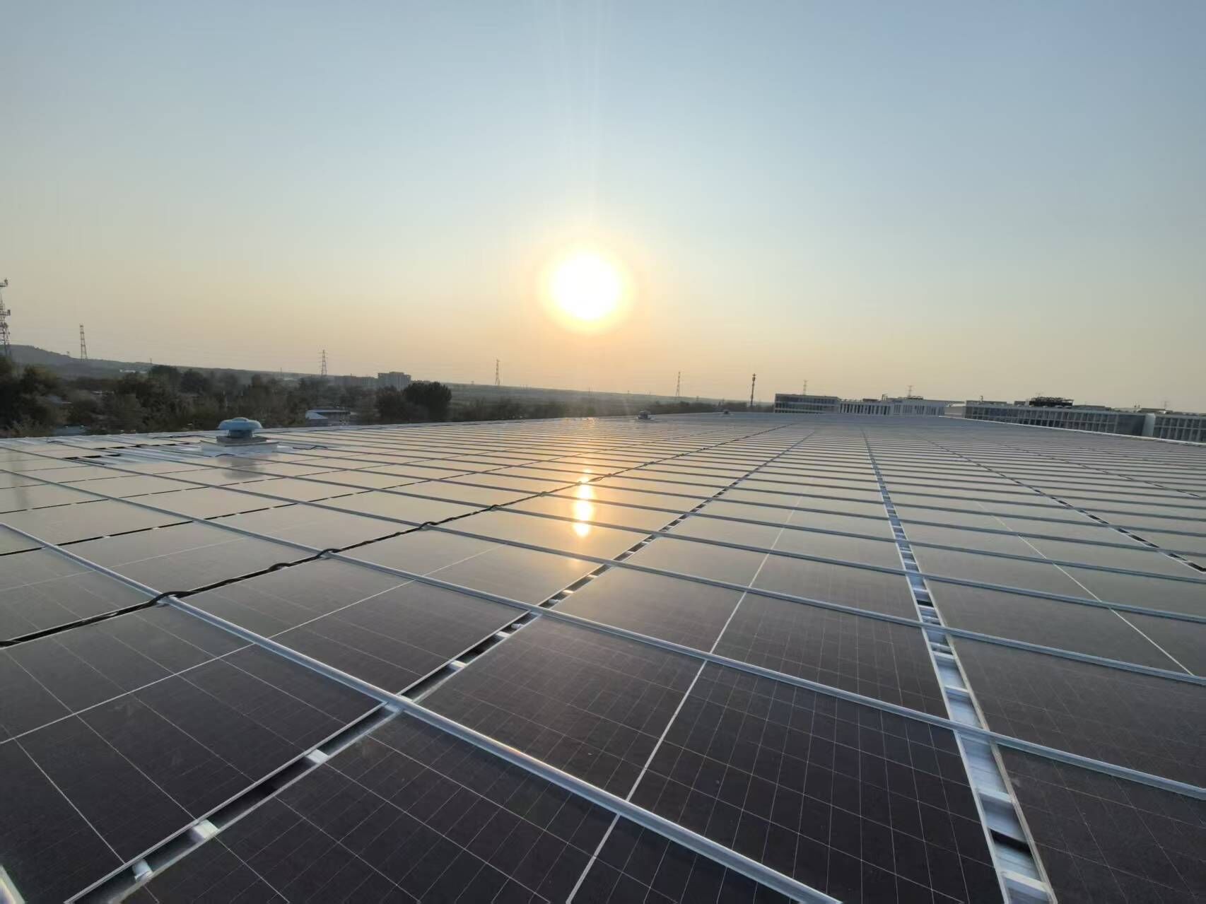 1766634630061 (1).jpg